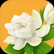 契约石