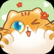 舒适岛